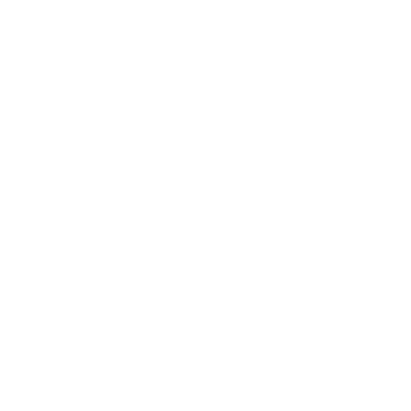 FB Icon